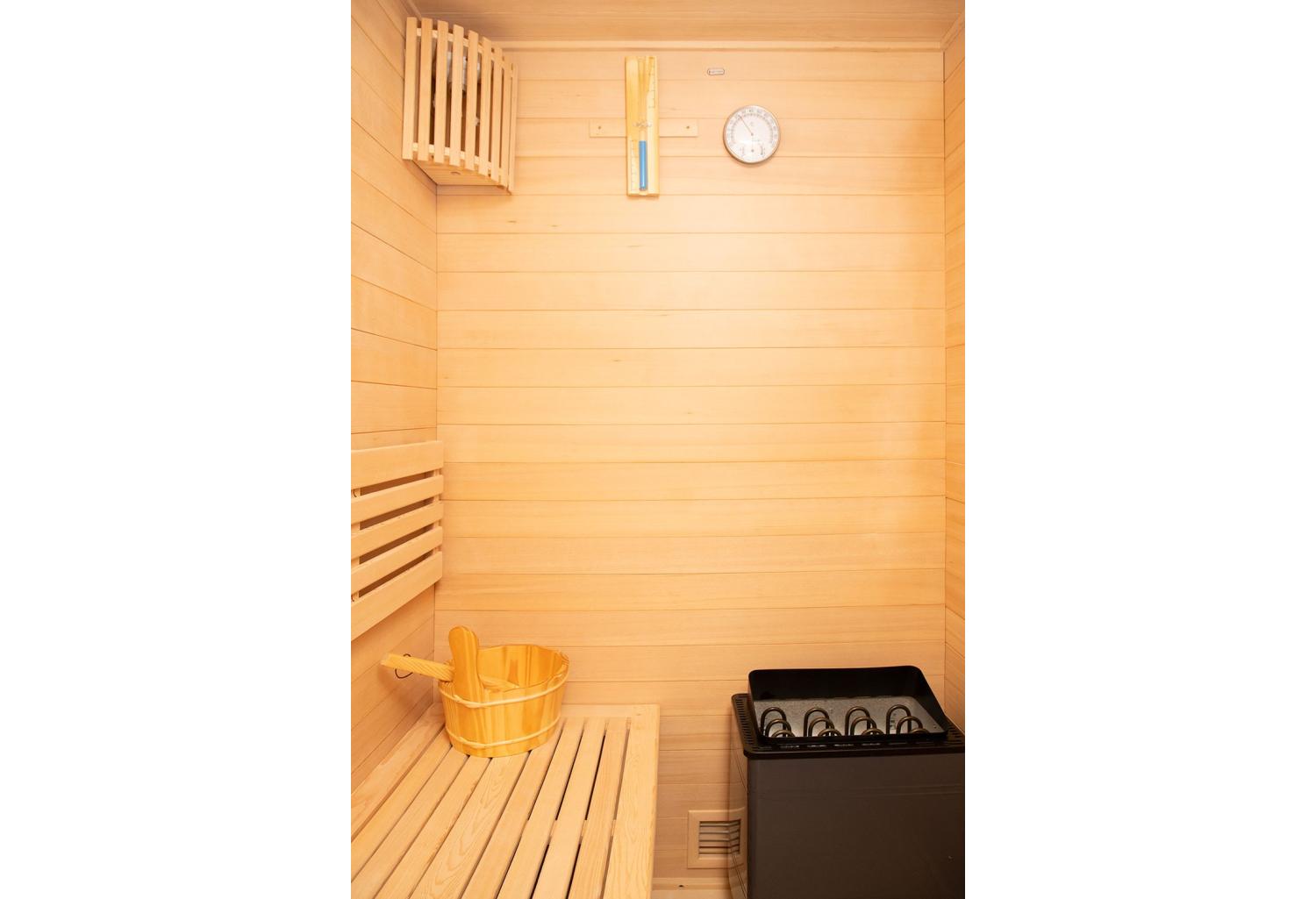 Sauna sec économique AR-001