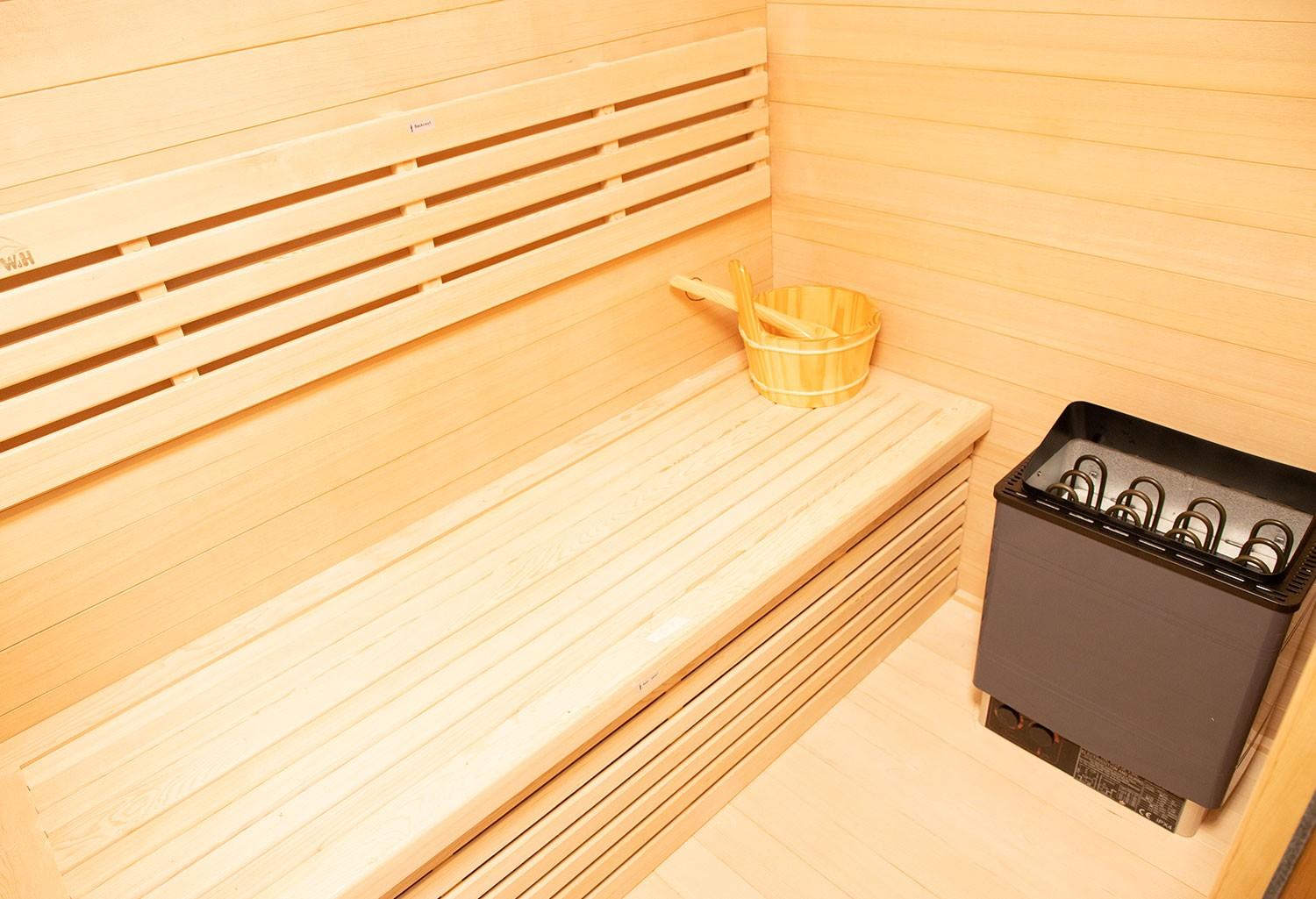 Sauna sec économique AR-001