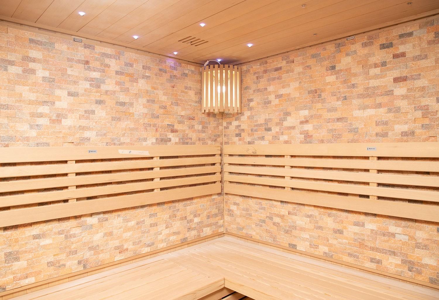 Sauna sec premium AX-003C