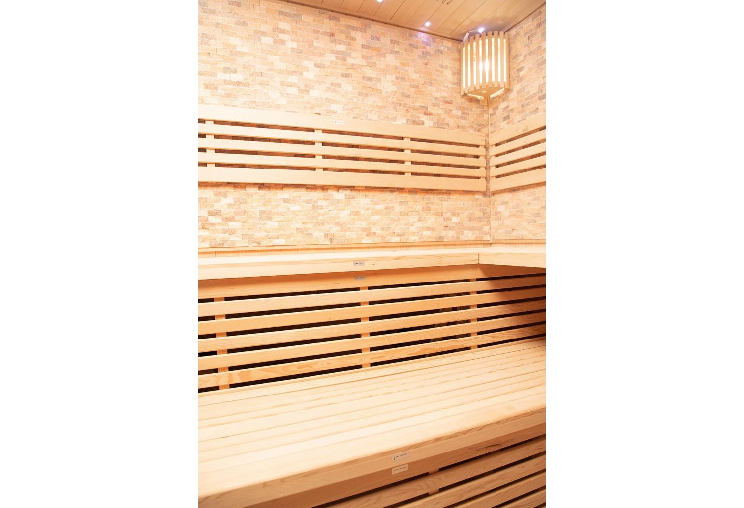 Sauna sec premium AX-003A