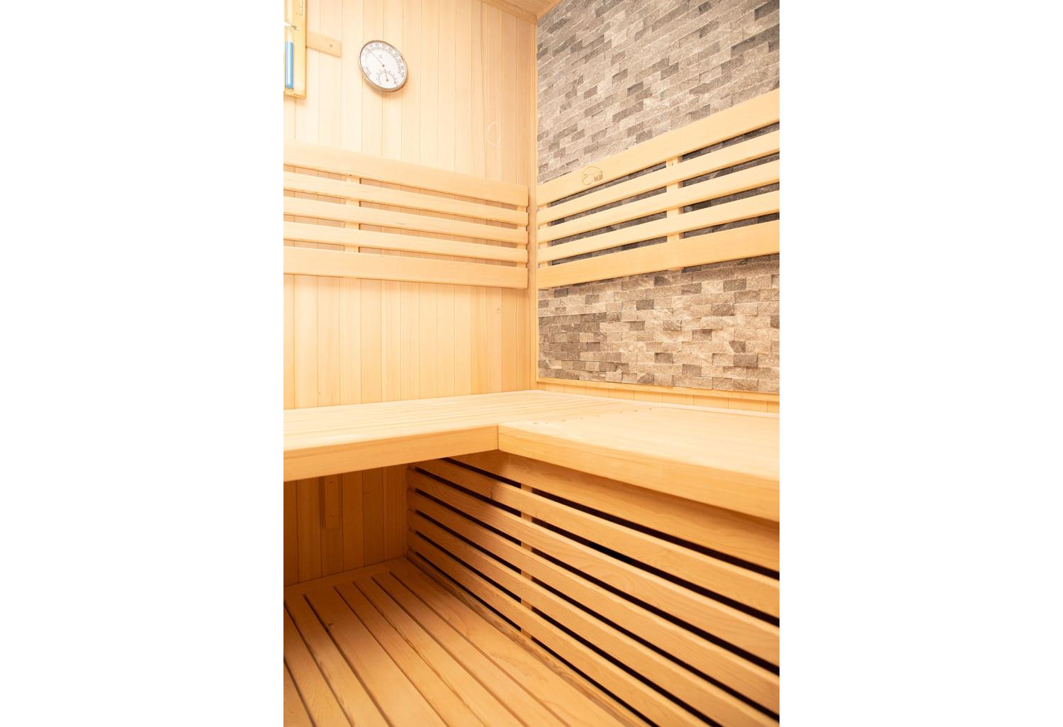 Sauna sec premium AX-005A