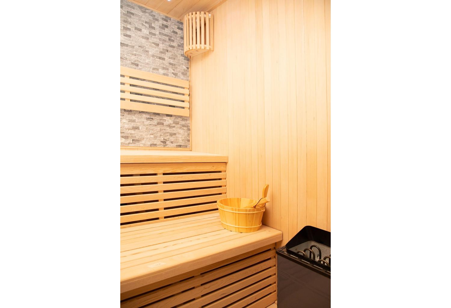 Sauna sec premium AX-005A