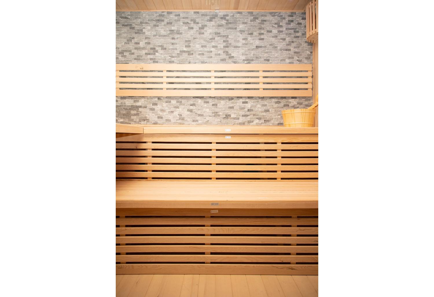 Sauna sec premium AX-005A