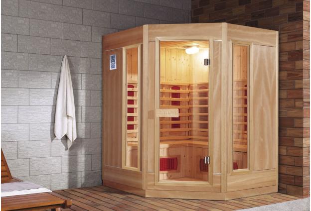 Sauna sec économique AR-009C